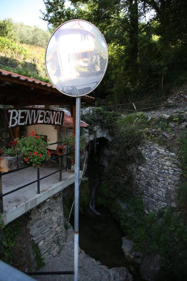 A Ca Du Barbijun Villa Pieve di Teco Екстериор снимка